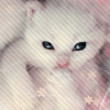 myspace layouts, myspace codes, glitter graphics