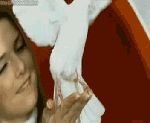 1687962op7hu7dvfw.gif