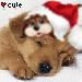 http://dl2.glitter-graphics.net/pub/1831/1831382q9uzo2v6ow.gif