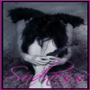 myspace layouts, myspace codes, glitter graphics