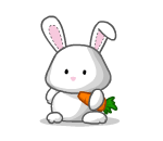 cocoa: cute animated bunny