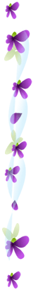 myspace layouts, myspace codes, glitter graphics