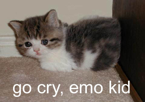 go cry emo kid